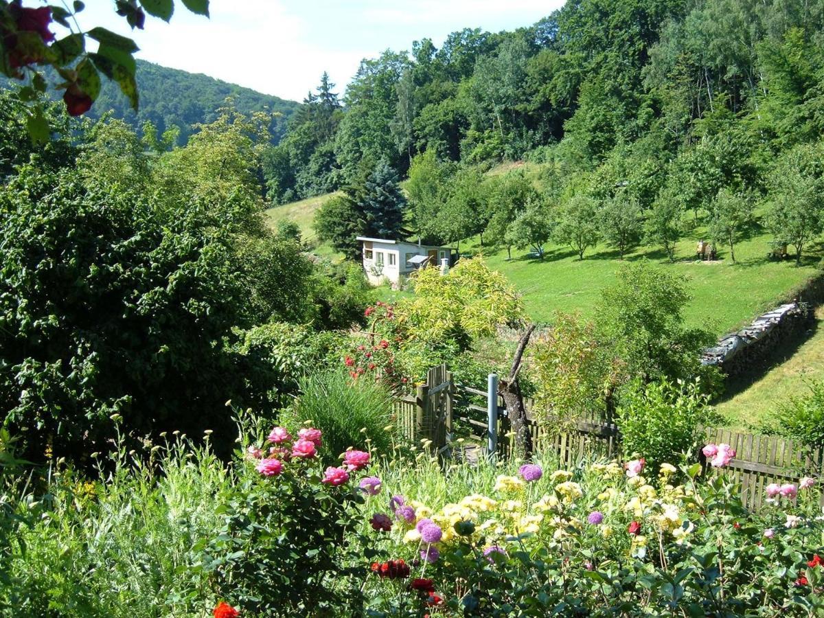 Ferienwohnungen "Allerleigruen" Langenroda Exterior foto